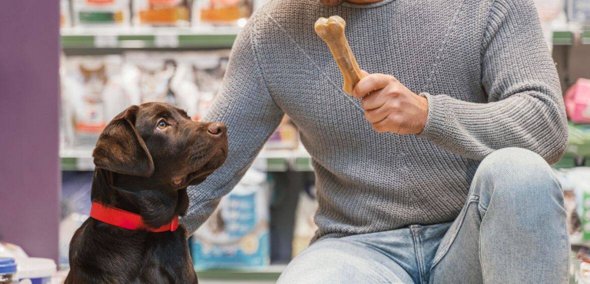 Pet food