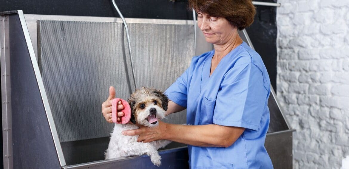Using Stored Credentials and Automated Reminders to Reduce Missed Payments for Pet Grooming