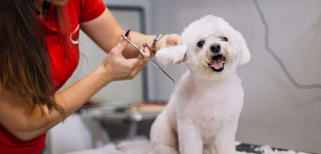Advantages for Pet Grooming Businesses